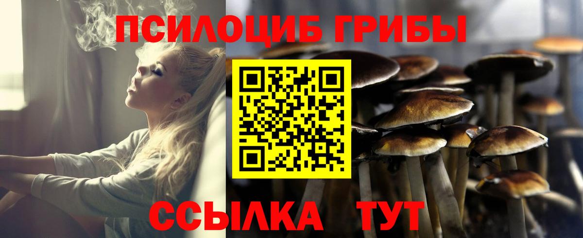 Псилоцибиновые грибы мицелий  Вход с VPN  Ногинск 